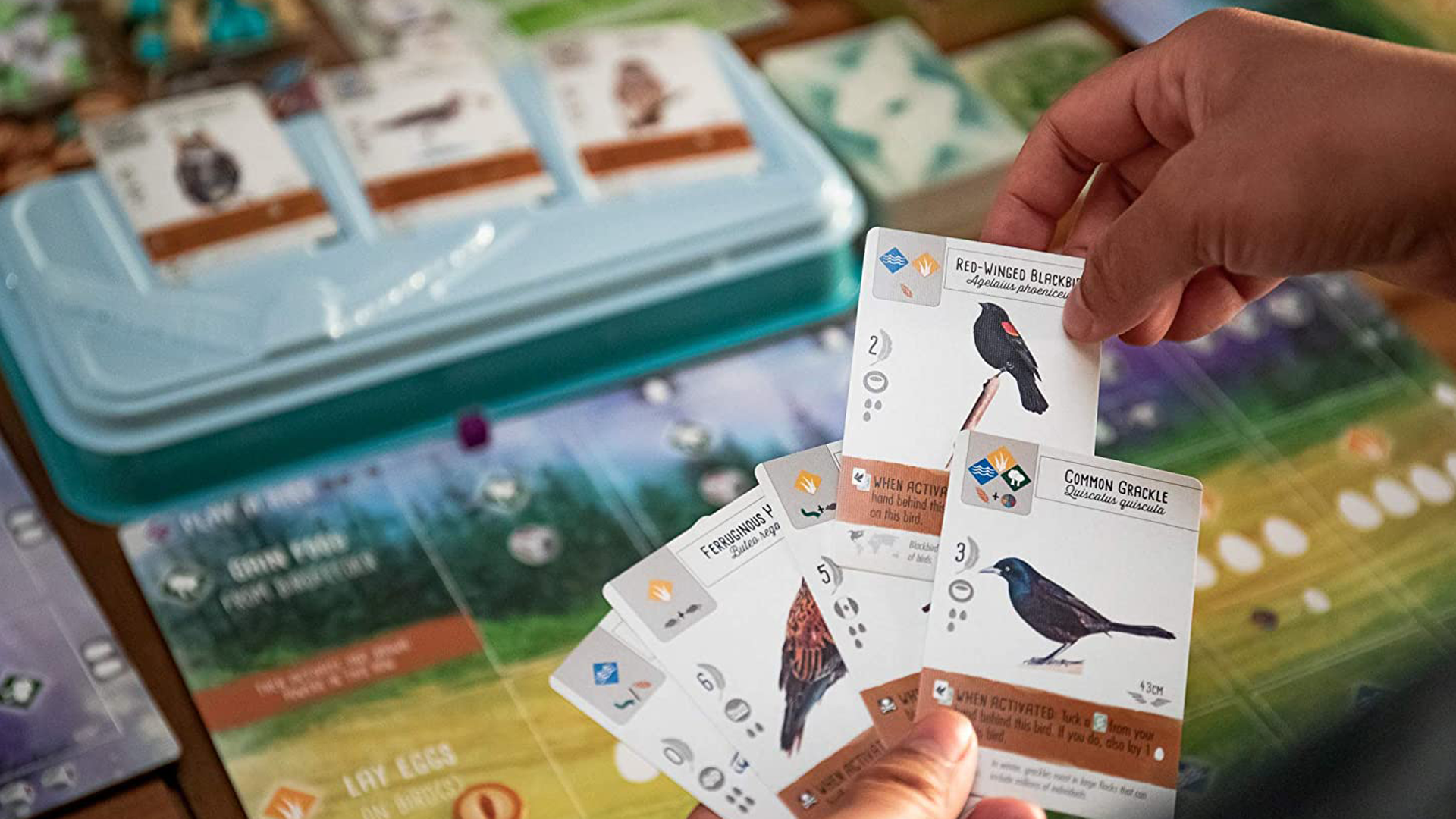 Wingspan video game is getting an expansion based on the birds of ...